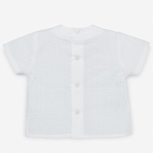 Camisa Nino "Tortuga"