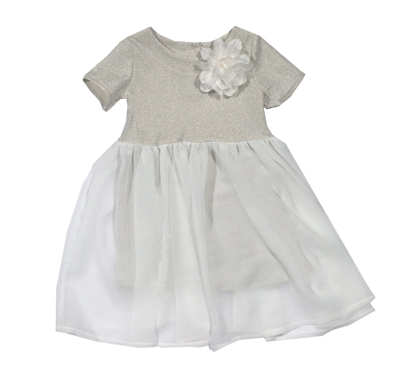 Vestido crepe plata