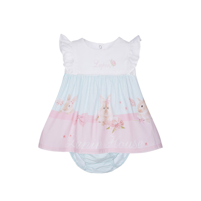 Conjunto conejitos